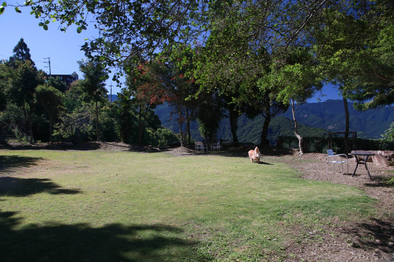 清境茲心園渡假山莊｜清境寵物友善民宿、眺望絕美碧湖最佳地理位置、擁抱療癒山嵐美景！！