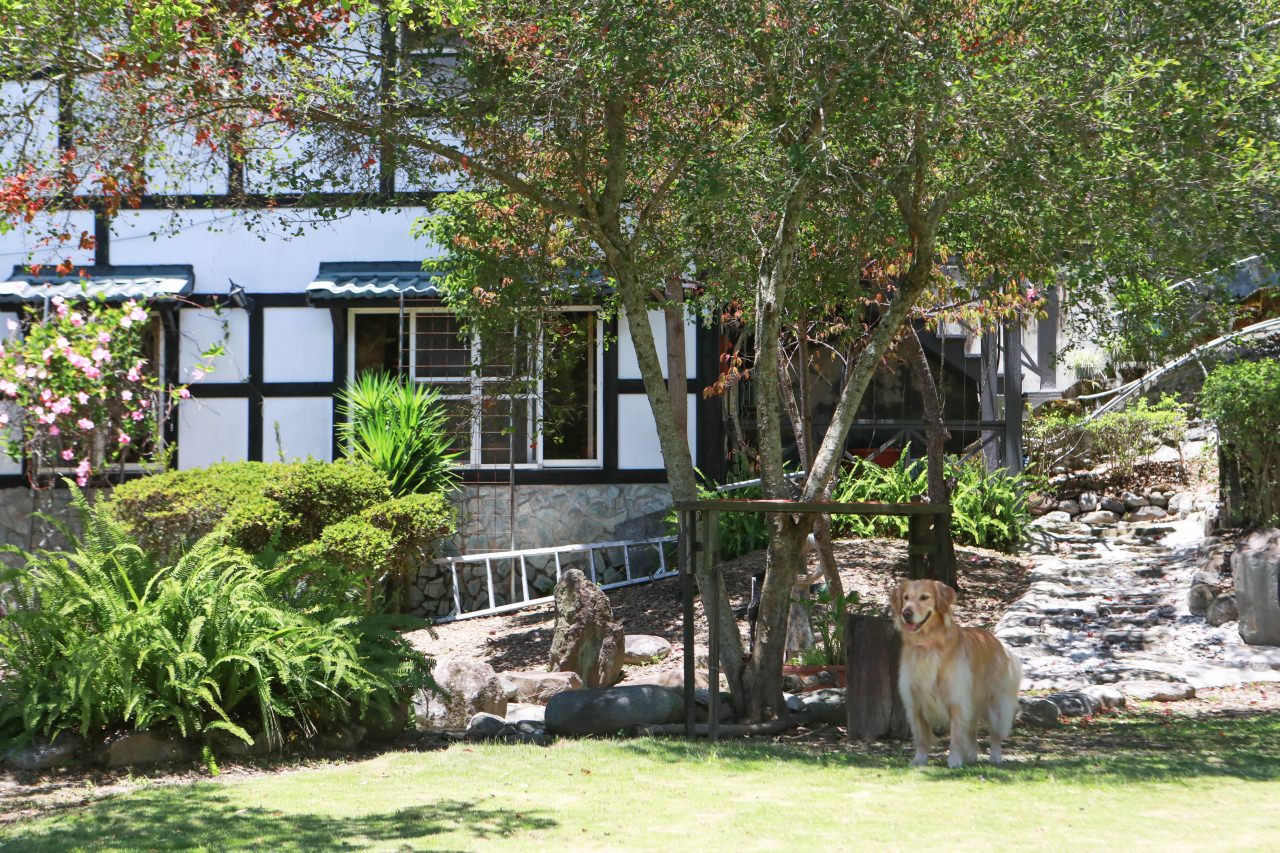 清境茲心園渡假山莊｜清境寵物友善民宿、眺望絕美碧湖最佳地理位置、擁抱療癒山嵐美景！！