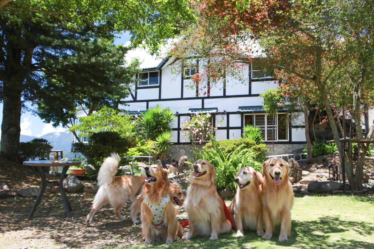 清境茲心園渡假山莊｜清境寵物友善民宿、眺望絕美碧湖最佳地理位置、擁抱療癒山嵐美景！！