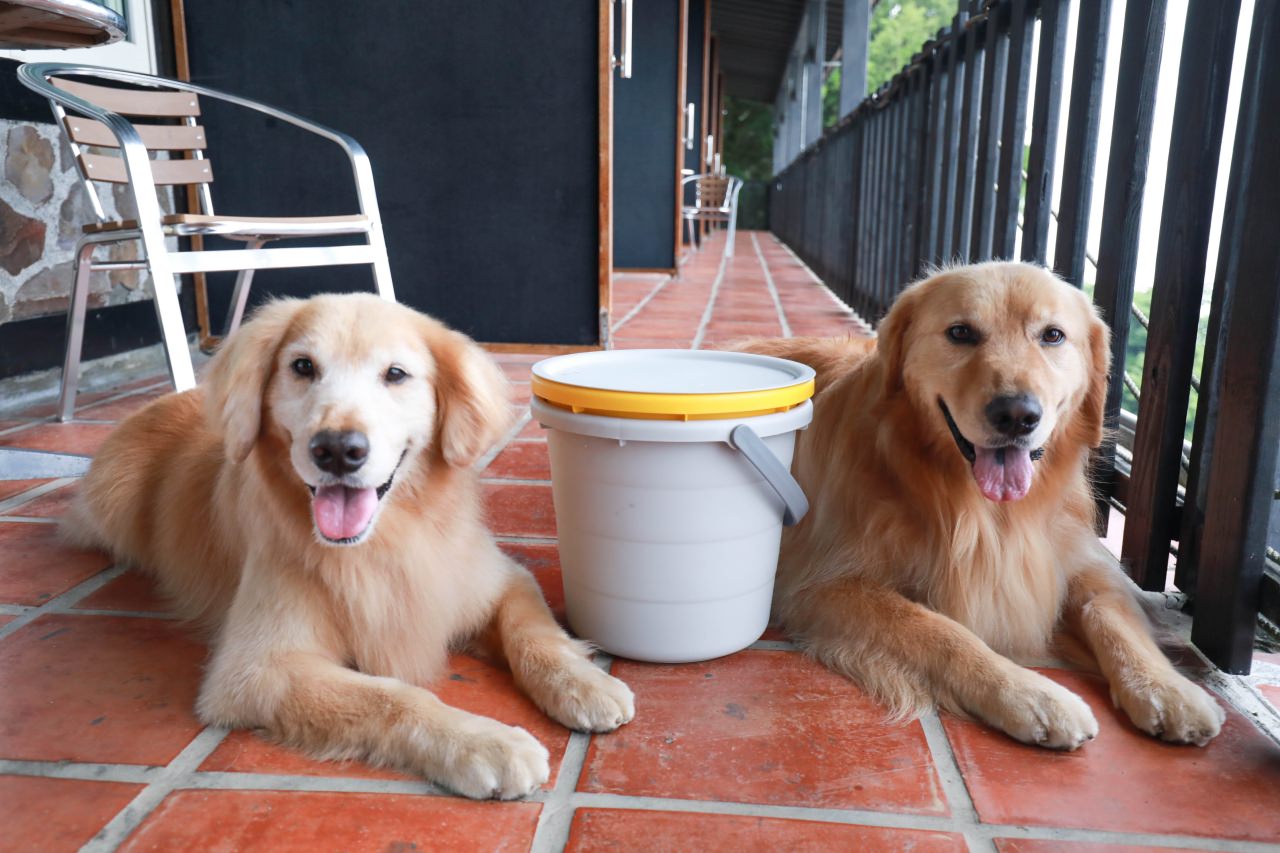 清境茲心園渡假山莊｜清境寵物友善民宿、眺望絕美碧湖最佳地理位置、擁抱療癒山嵐美景！！