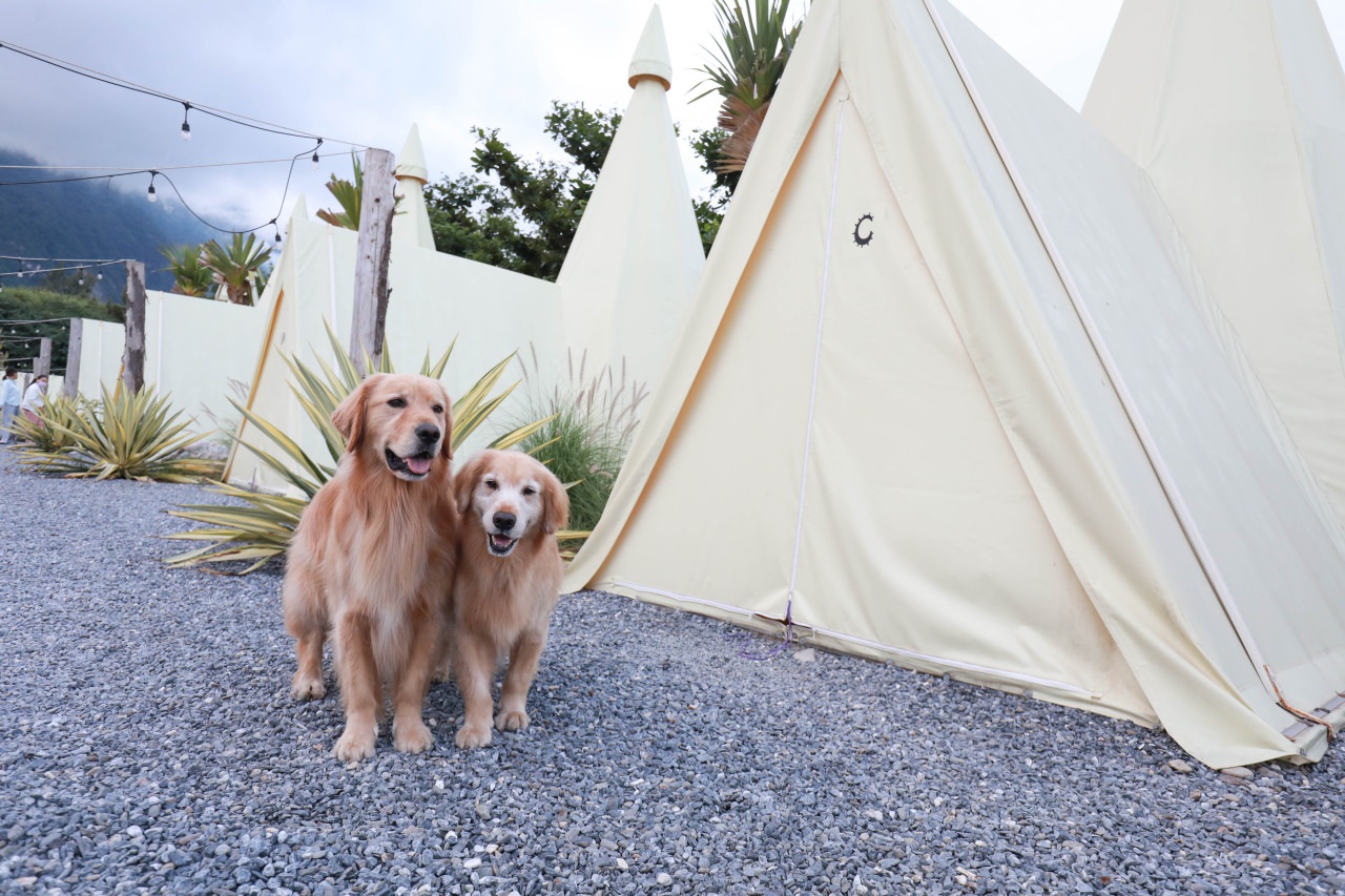花蓮懶人露營|高巢休閒農場。寵物友善、一泊二食免裝備豪華露營、必玩超刺激沙灘車 - 第28張圖 花蓮懶人露營|高巢休閒農場。寵物友善、一泊二食免裝備豪華露營、必玩超刺激沙灘車