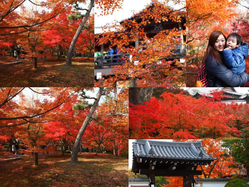 collage東福寺