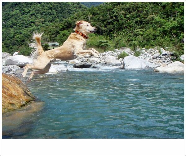 <花蓮>再戰水源地.JUMP
