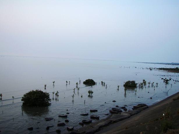 風情海岸