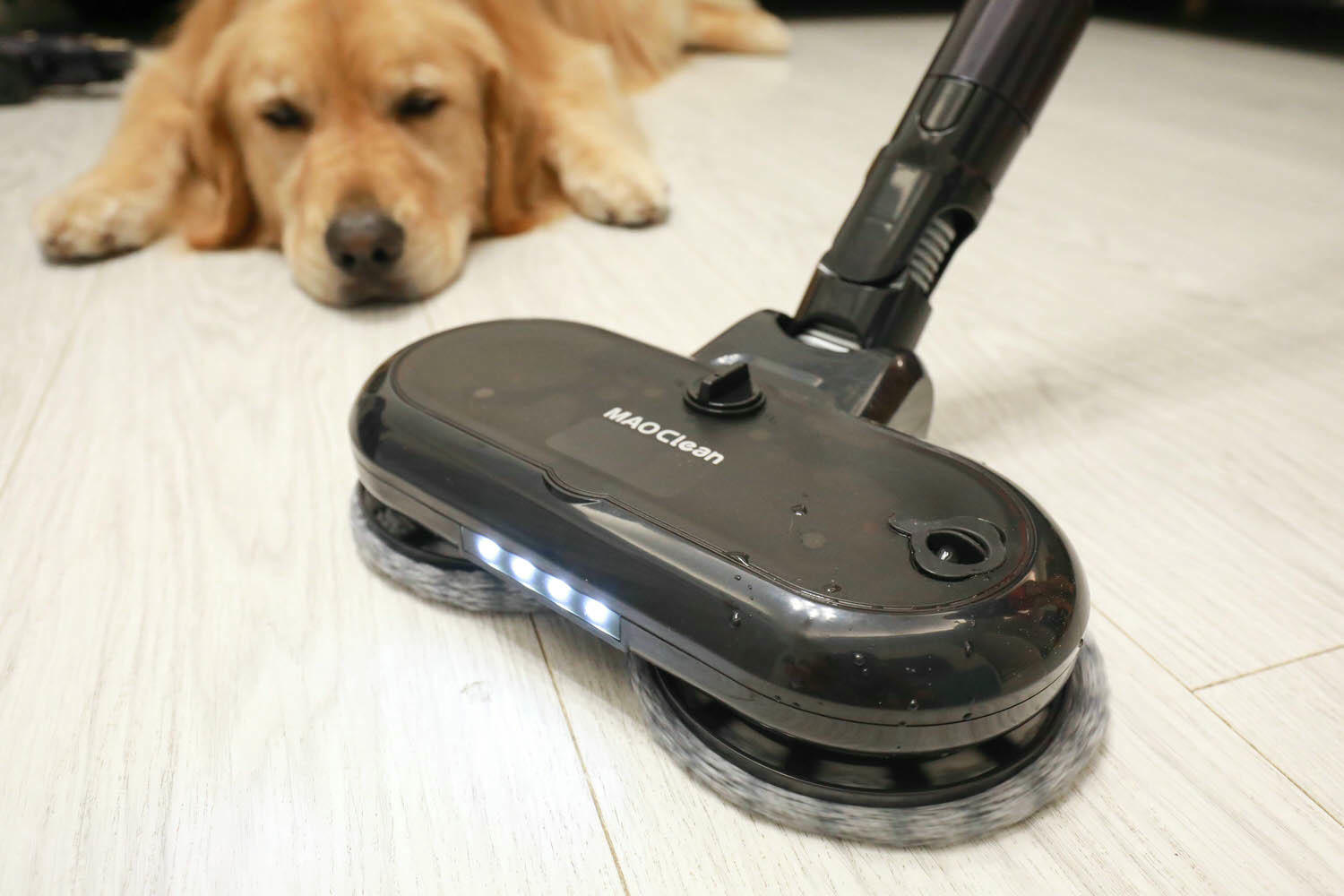 Bmxmao MAO Clean M8智慧偵測電動濕拖無線吸塵器|打造乾淨無瑕的寵物居家環境、吸塵拖地除蟎一次清潔完成、濾網永久免費送 - 第19張圖 Bmxmao MAO Clean M8智慧偵測電動濕拖無線吸塵器|打造乾淨無瑕的寵物居家環境、吸塵拖地除蟎一次清潔完成、濾網永久免費送