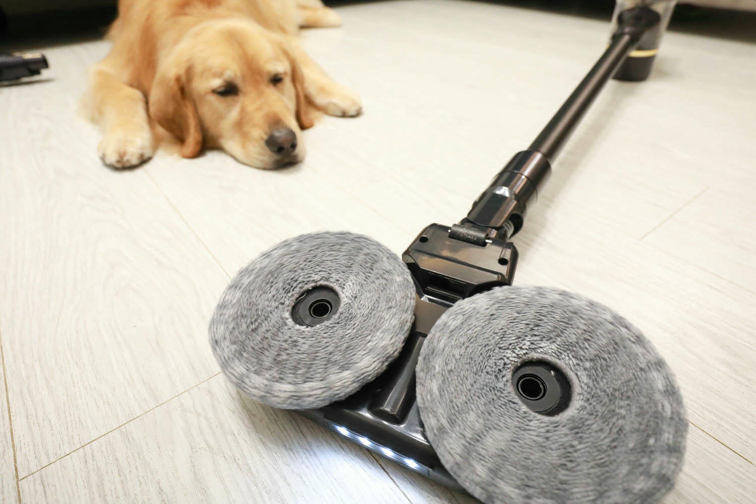 Bmxmao MAO Clean M8智慧偵測電動濕拖無線吸塵器|打造乾淨無瑕的寵物居家環境、吸塵拖地除蟎一次清潔完成、濾網永久免費送 - 第18張圖 Bmxmao MAO Clean M8智慧偵測電動濕拖無線吸塵器|打造乾淨無瑕的寵物居家環境、吸塵拖地除蟎一次清潔完成、濾網永久免費送