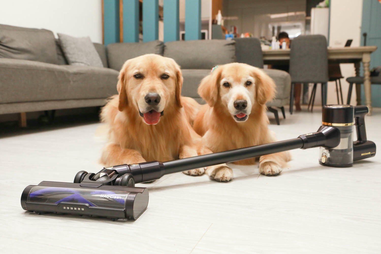 Bmxmao MAO Clean M8智慧偵測電動濕拖無線吸塵器|打造乾淨無瑕的寵物居家環境、吸塵拖地除蟎一次清潔完成、濾網永久免費送 - 第1張圖 Bmxmao MAO Clean M8智慧偵測電動濕拖無線吸塵器|打造乾淨無瑕的寵物居家環境、吸塵拖地除蟎一次清潔完成、濾網永久免費送