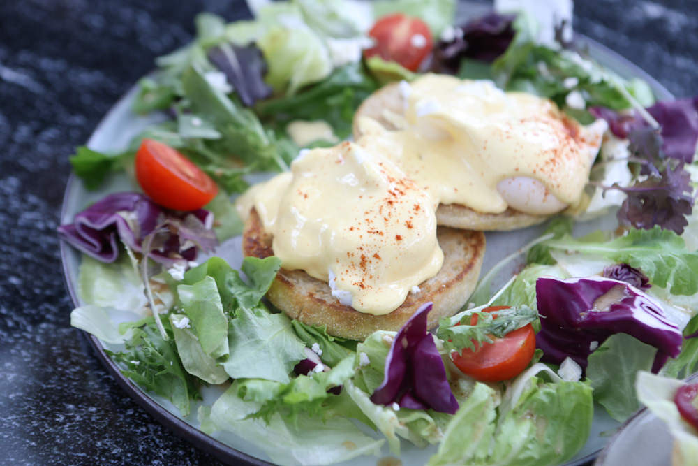 花蓮美食｜花蓮woof汪寵物餐廳、汪woof cafe。花蓮寵物餐廳、十隻超萌巨貴陪伴拍照玩耍、大草皮、花蓮室內景點、花蓮雨天景點