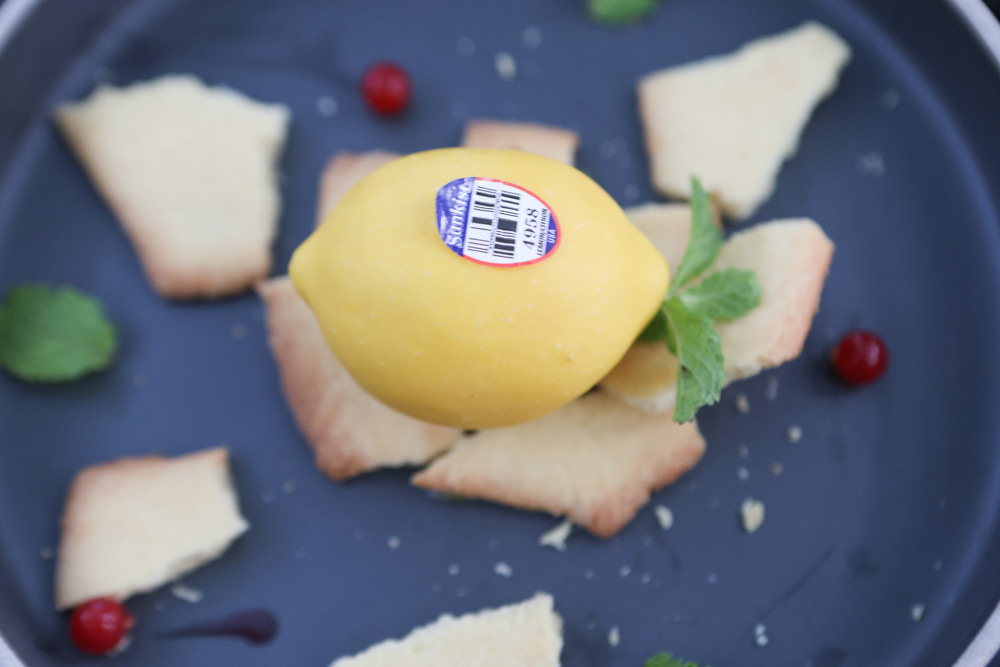 花蓮美食｜花蓮woof汪寵物餐廳、汪woof cafe。花蓮寵物餐廳、十隻超萌巨貴陪伴拍照玩耍、大草皮、花蓮室內景點、花蓮雨天景點