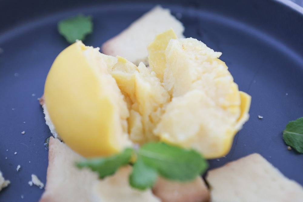 花蓮美食｜花蓮woof汪寵物餐廳、汪woof cafe。花蓮寵物餐廳、十隻超萌巨貴陪伴拍照玩耍、大草皮、花蓮室內景點、花蓮雨天景點